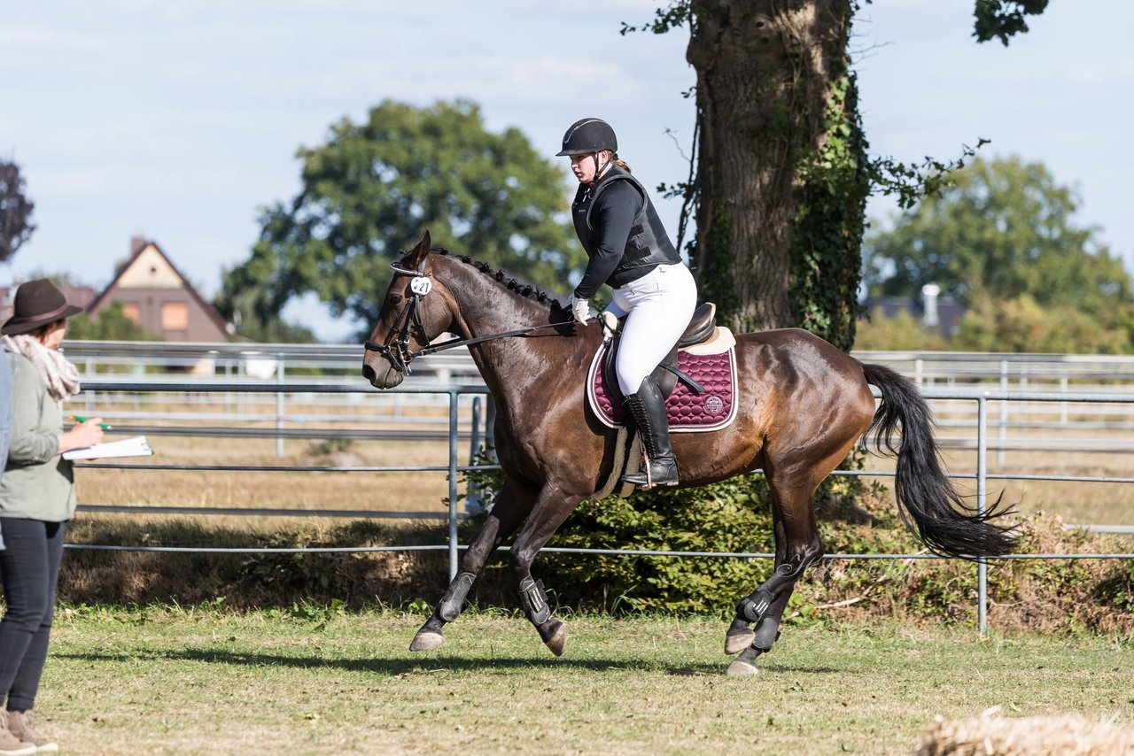 Bild 30 - Pony Akademie Turnier